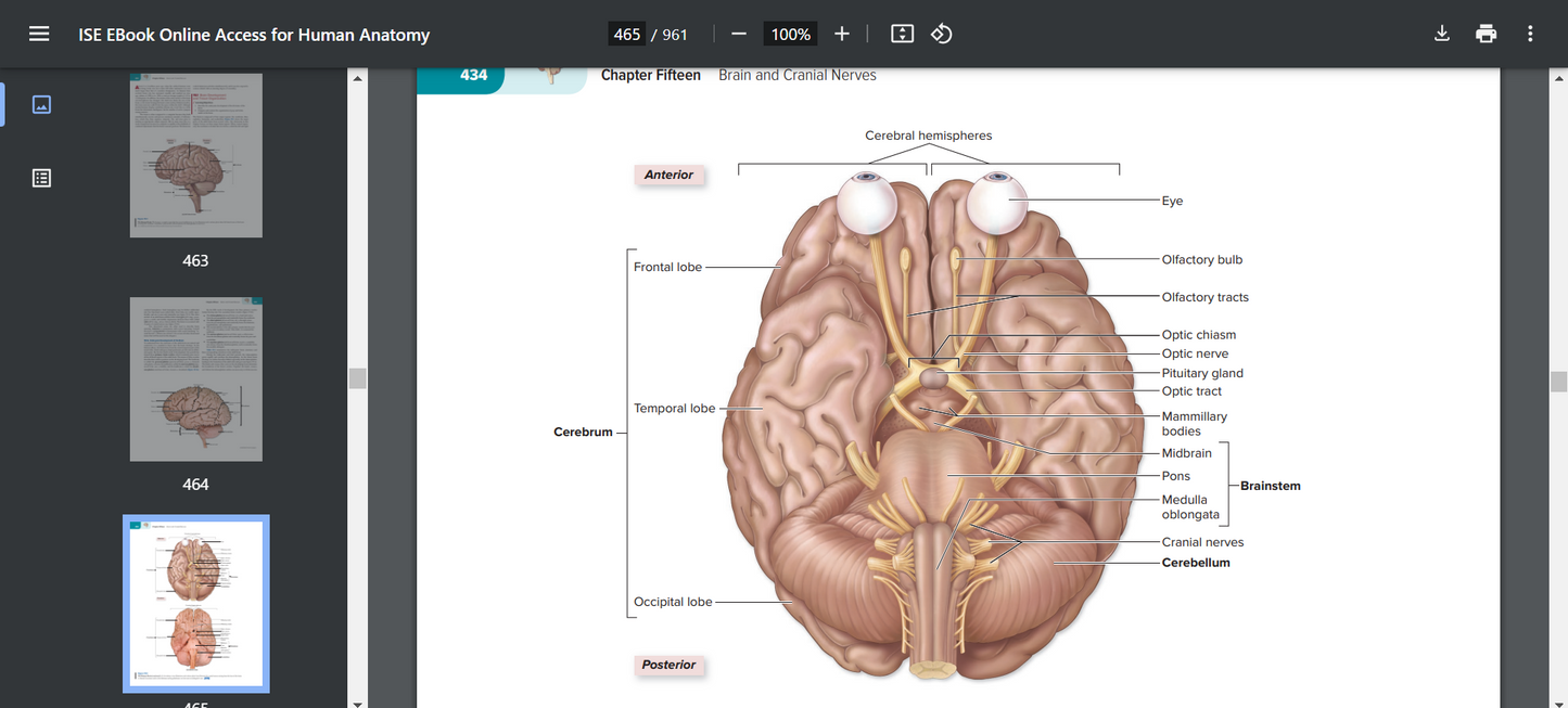 Human Anatomy 6th Edition Searchable PDF