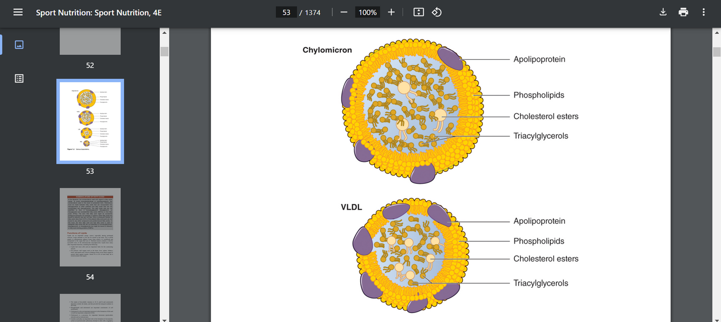 Sport Nutrition Human Kinetics, 4, 2024 Asker Jeukendrup, MIchael Geeson PDF SEARCHABLE