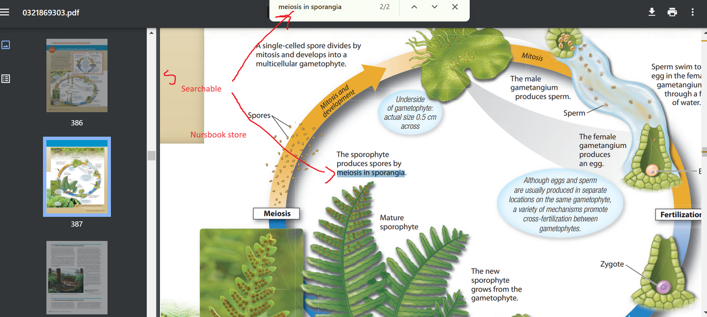 Campbell Biology: Concepts & Connections (8th Edition) PDF Searchable