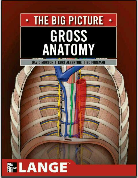 The Big Picture: Gross Anatomy pdf download